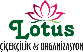 Mersin Mezitli Çiçekçilik - Lotus Çiçekçilik